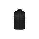 Alpine Mens Vest